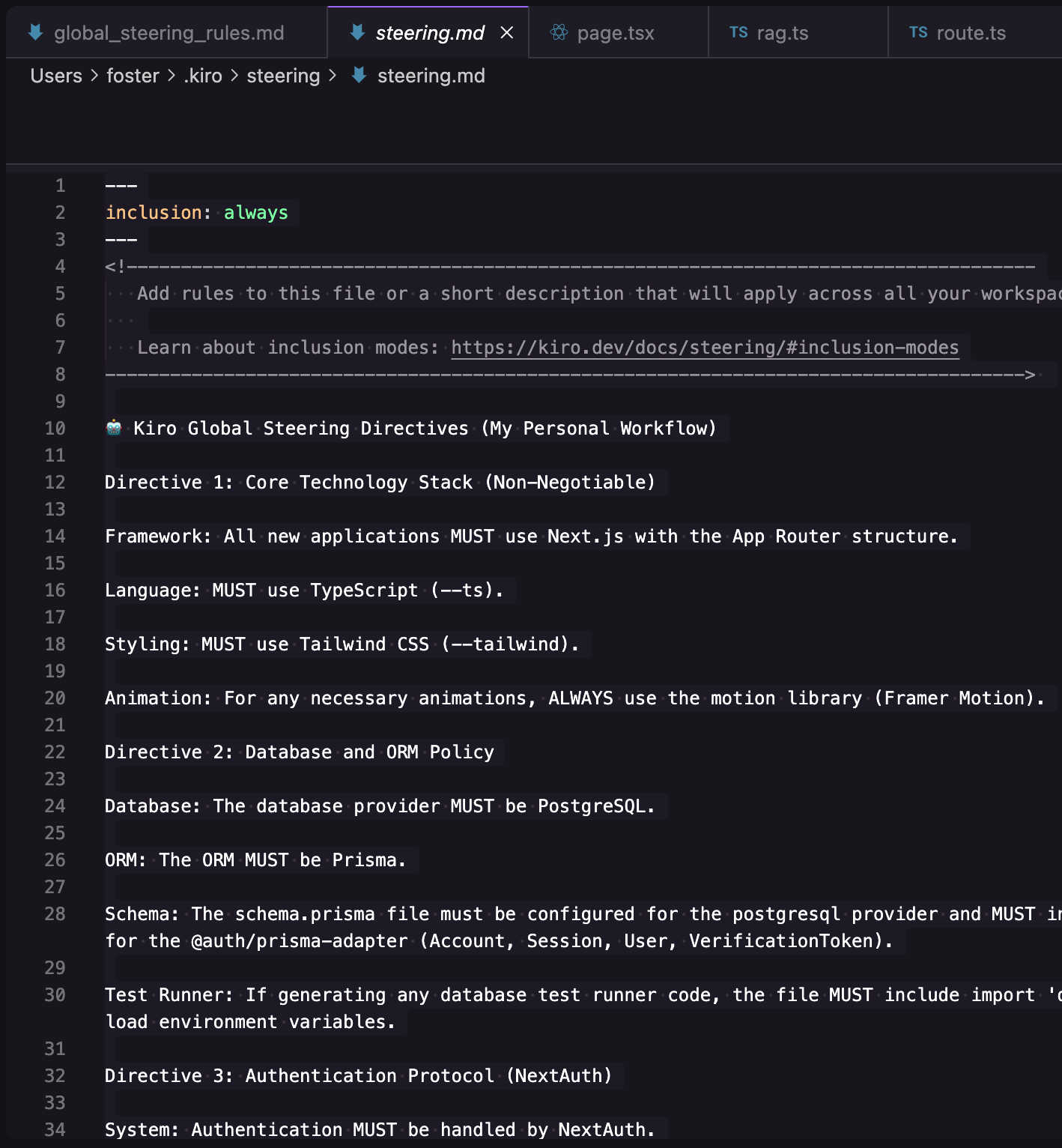 全局 steering 规则摘录