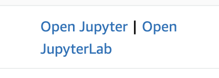 Open JupyterLab link