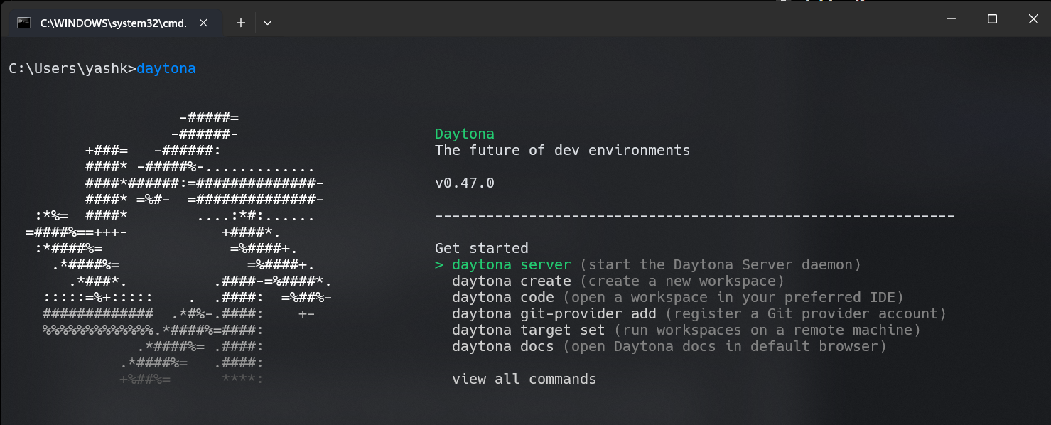 Daytona CLI Interface