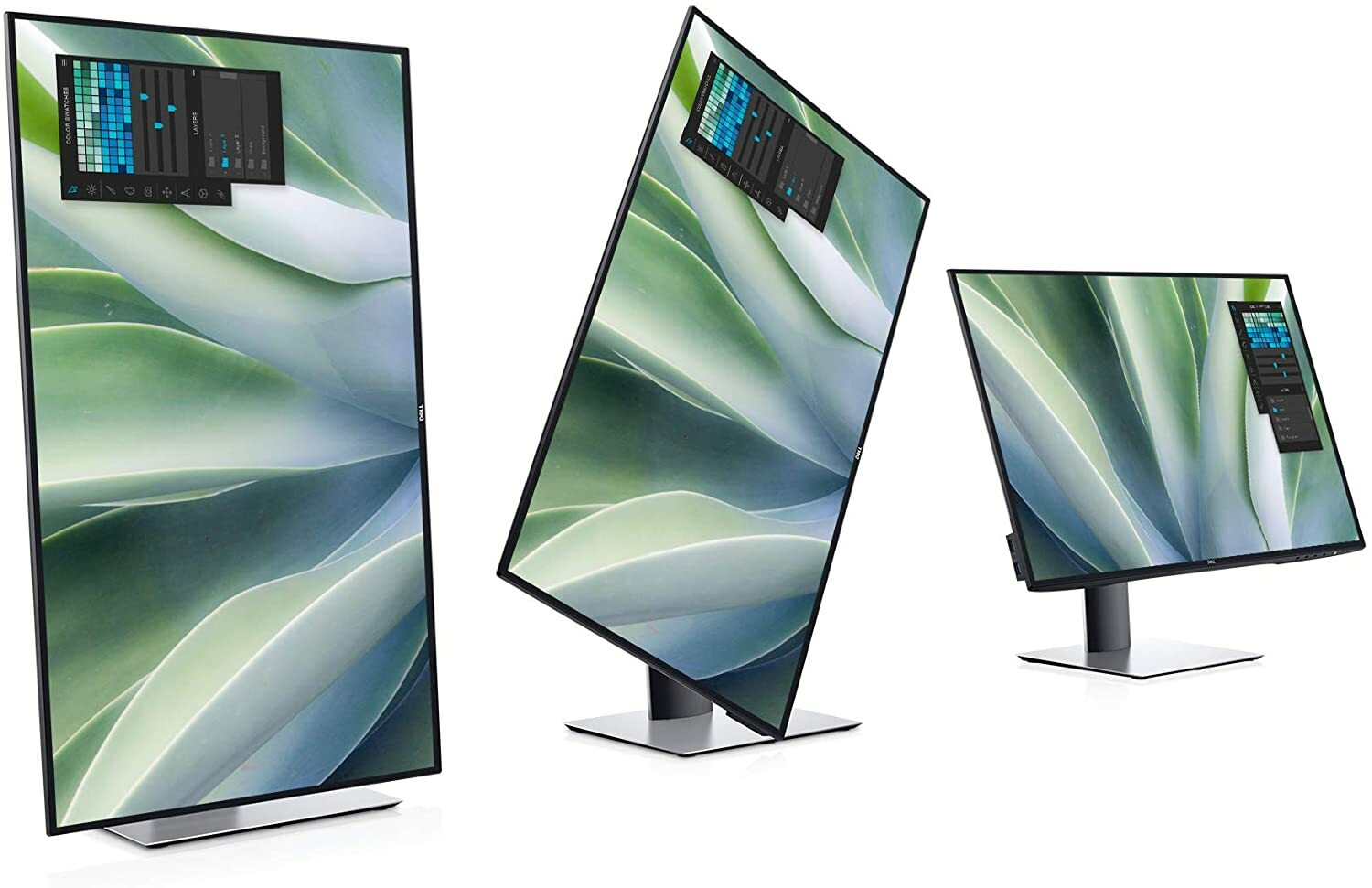 Dell Ultrasharp best programming monitor