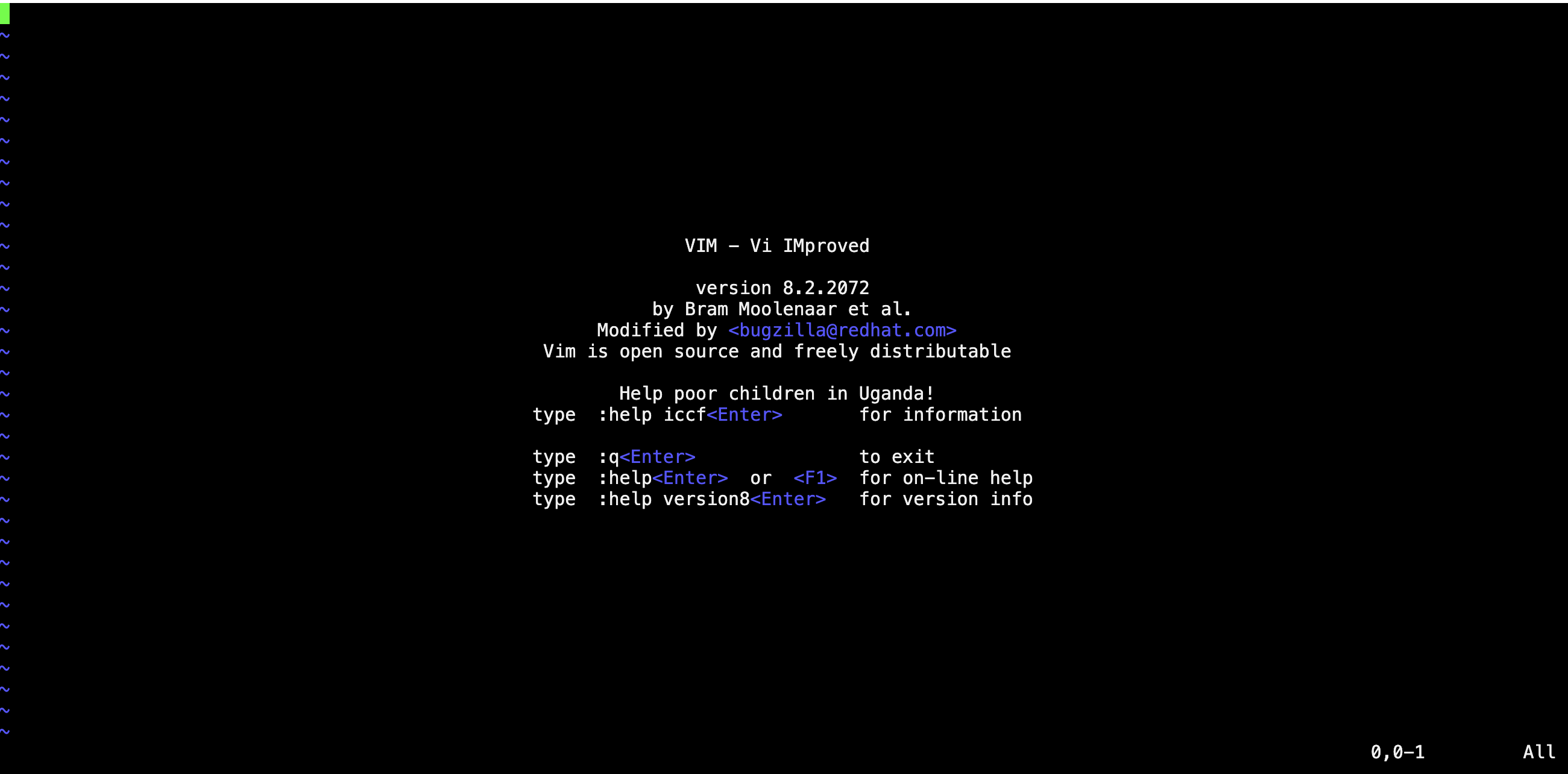 VIM Editor