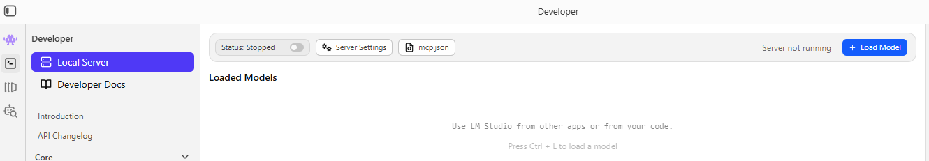 LM Studio Developer Settings