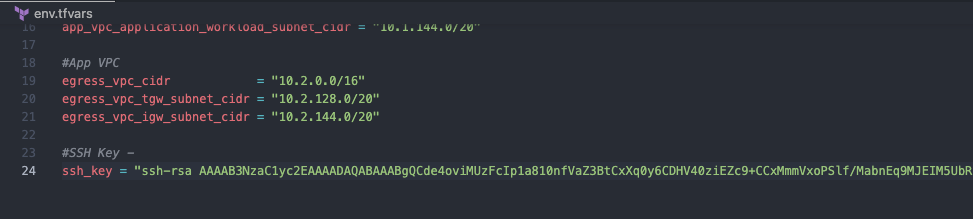 Then copy the public key and paste in the `env.tfvars`