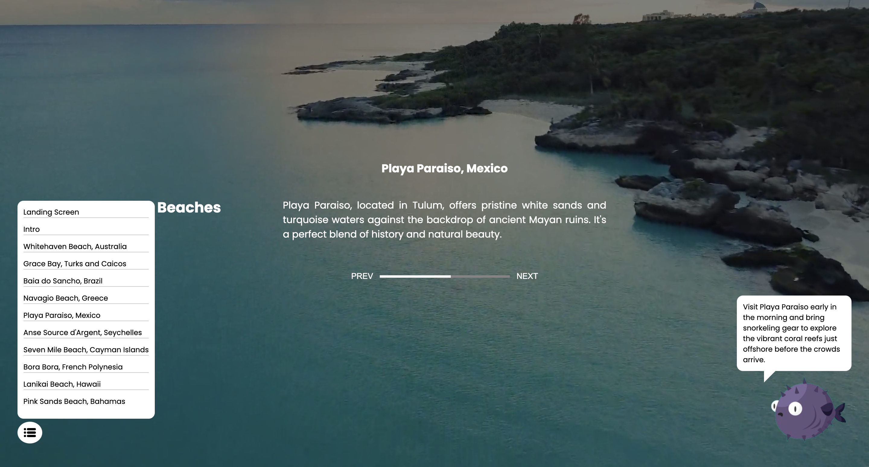 Accessibility Navigation Bar