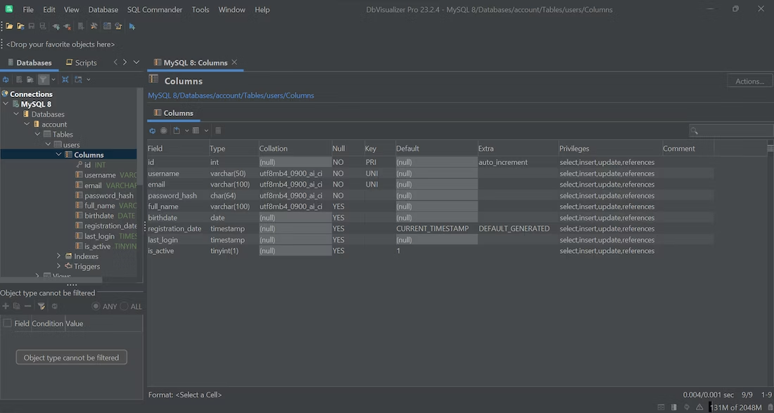 The "Columns" tab in DbVisualizer.