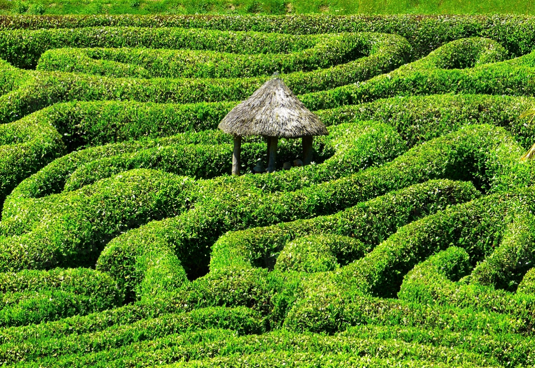 A birds-eye view helps us to navigate these twisting paths