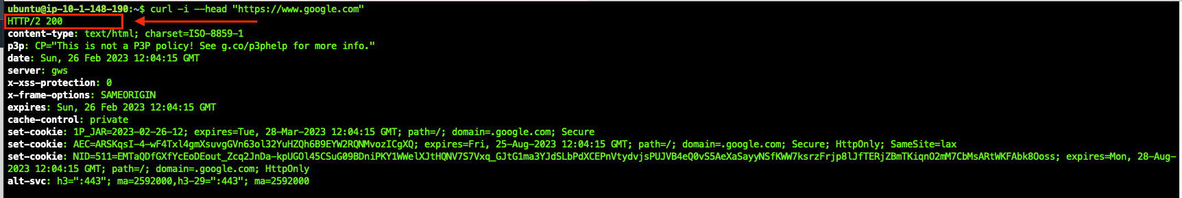 Now curl the `https://www.google.com` url from the APP EC2 Server