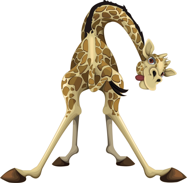 Original giraffe image