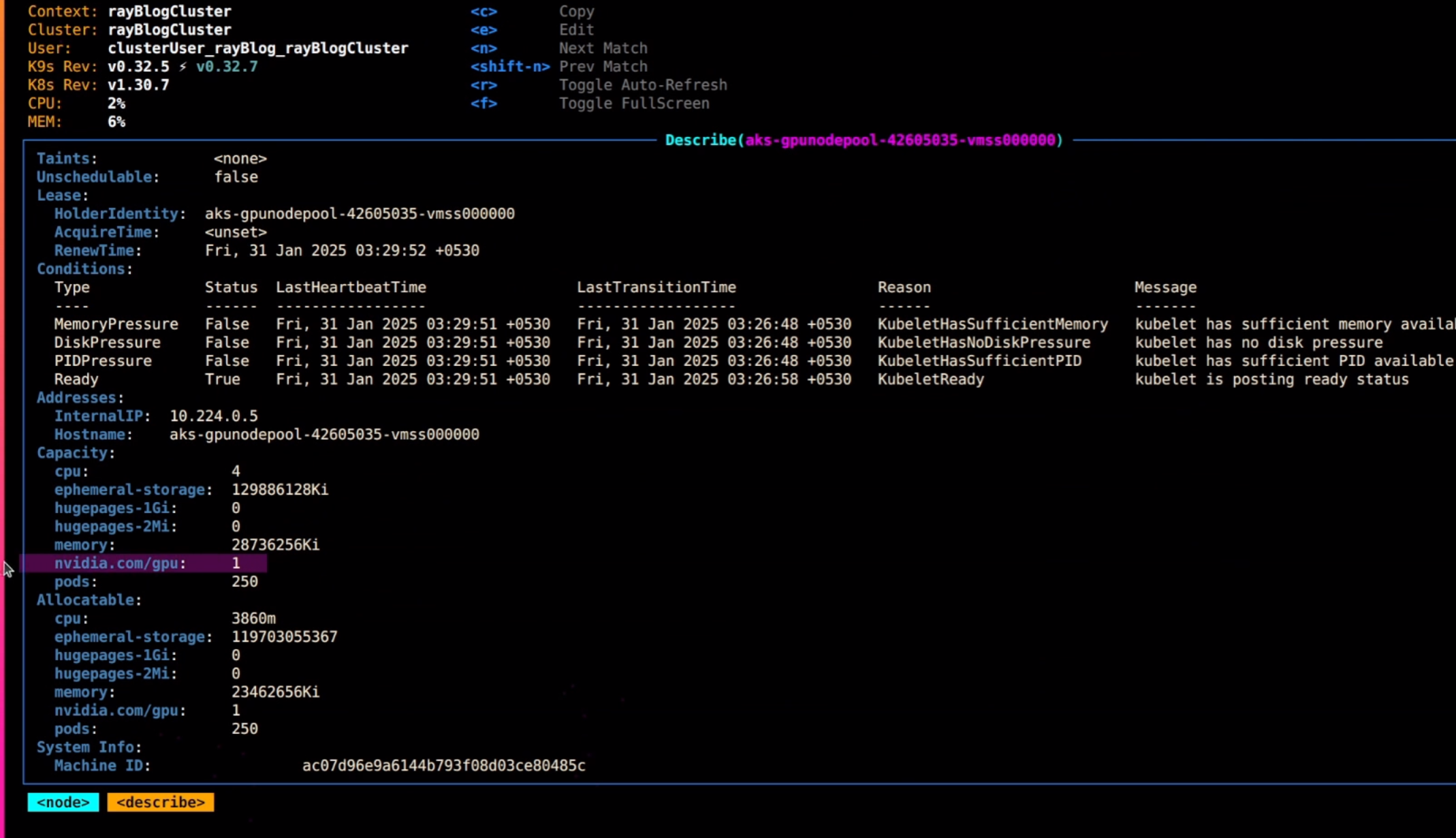 k9s node description gpu available