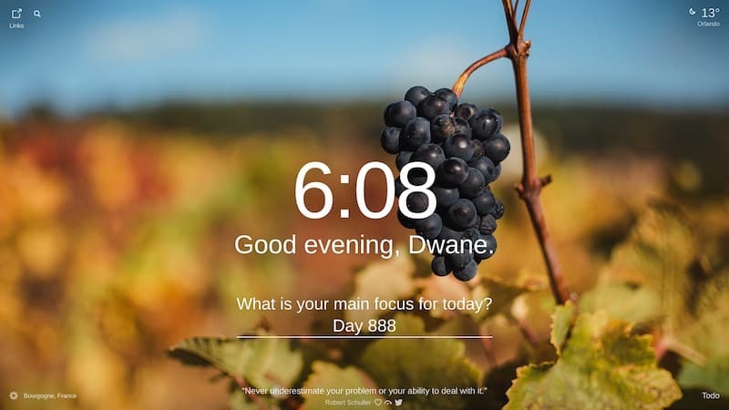 A close up of a bunch of dark blue grapes hanging off a twig in Bourgogne, France