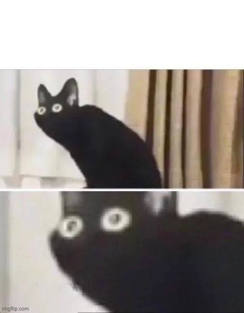 Cat Oh no
