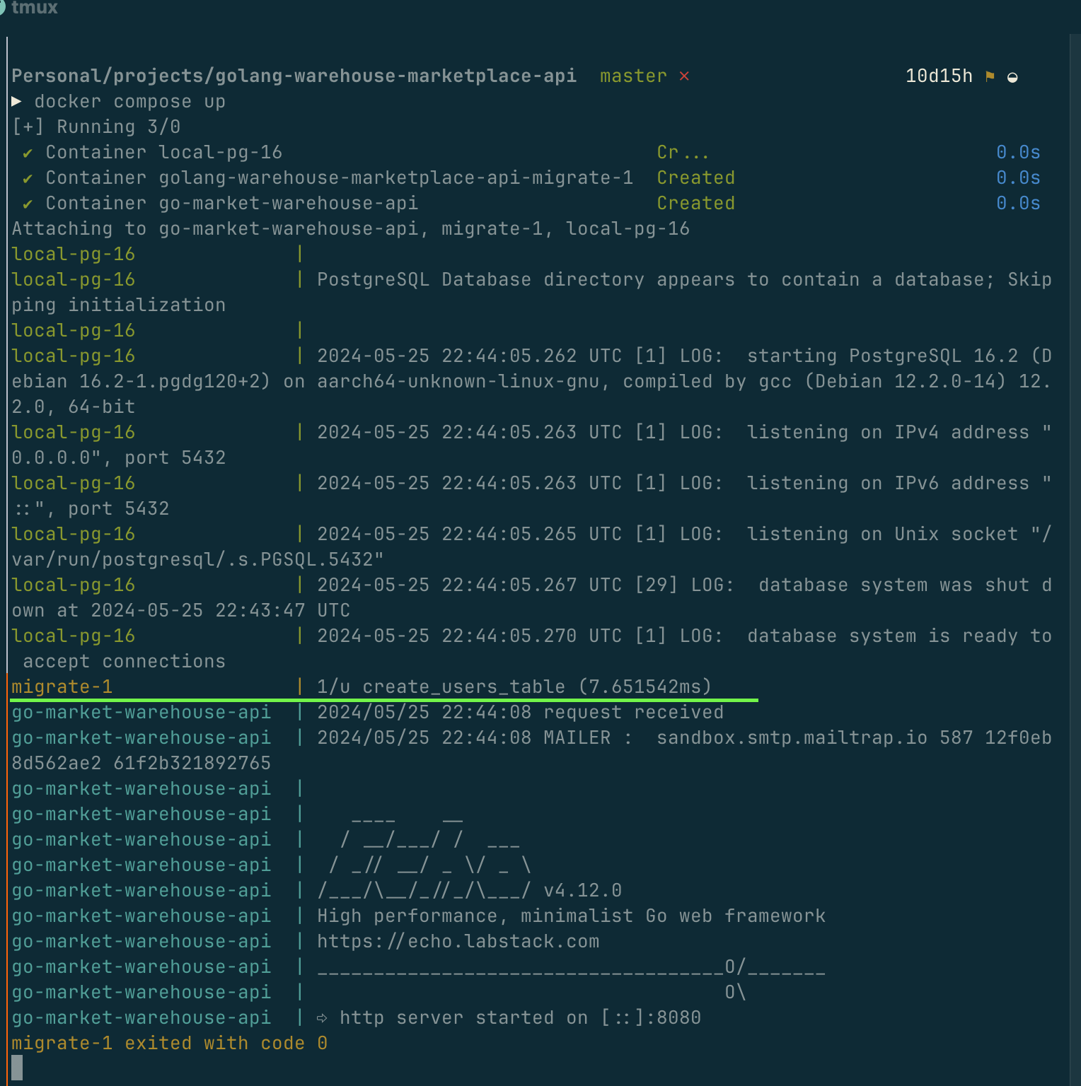 Docker log for migrate execution