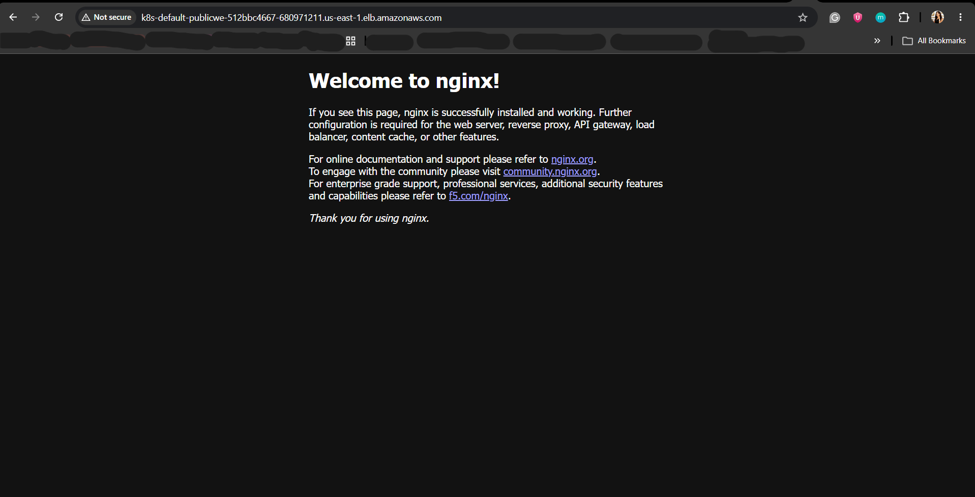 nginx-on-browser