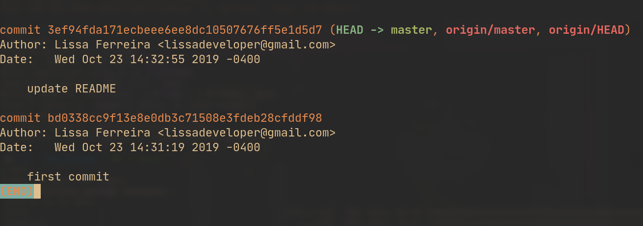exemplo de git log com nome e email corretos