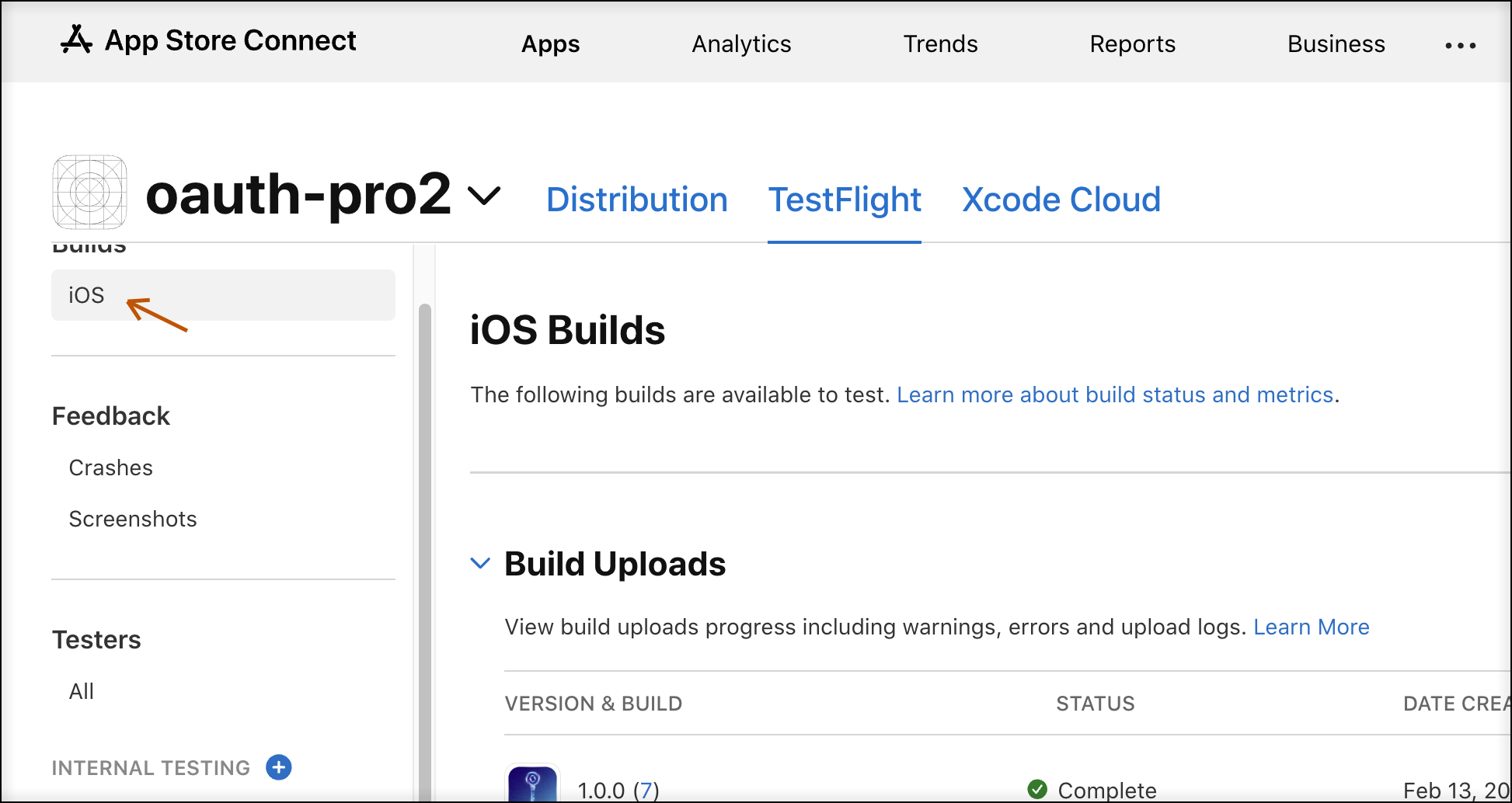 TestFlight build view 1