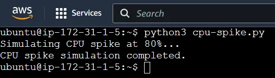 CPU-Spike python script