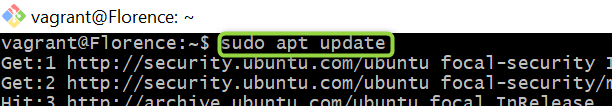 sudo apt update
