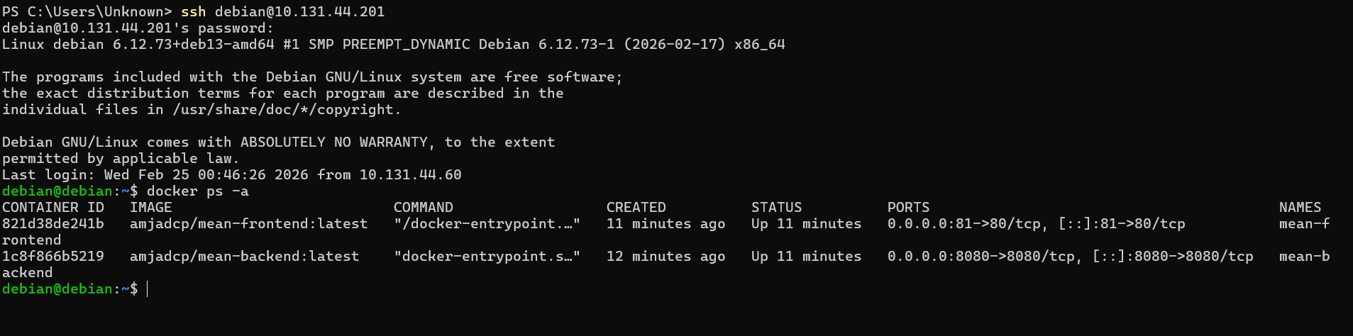 Docker Containers Running