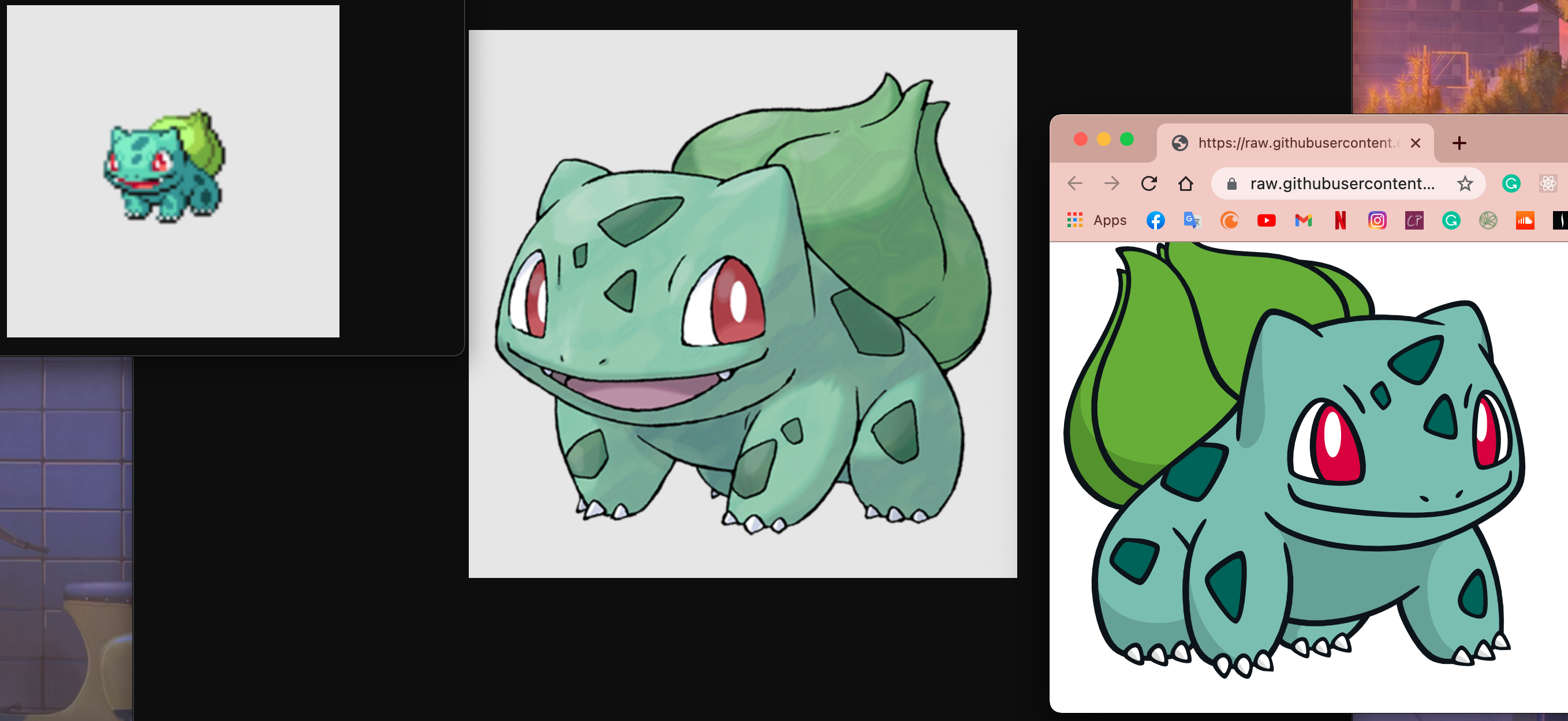 Bulbasaur images from API