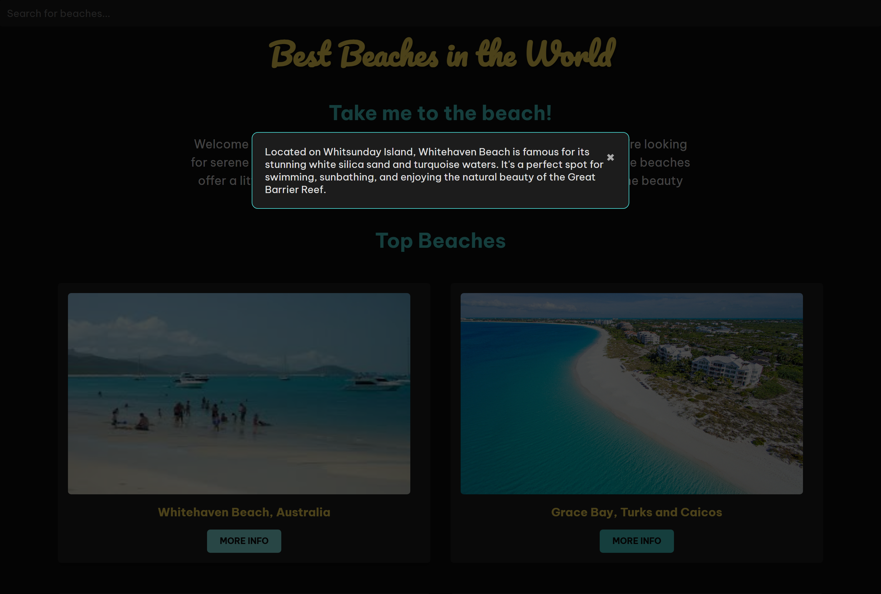 This shows the decription modal on click of the button
