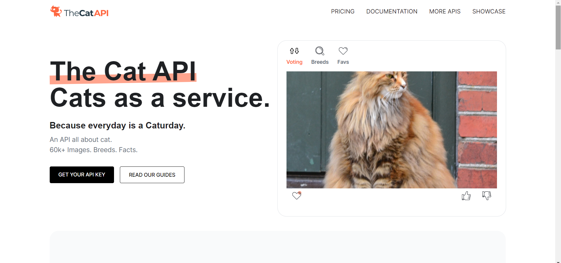 The Cat API