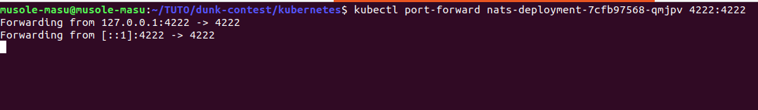 NATS service accessible in local m