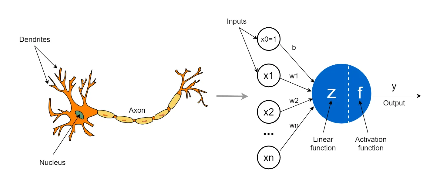 Perceptron