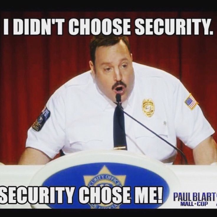 security meme