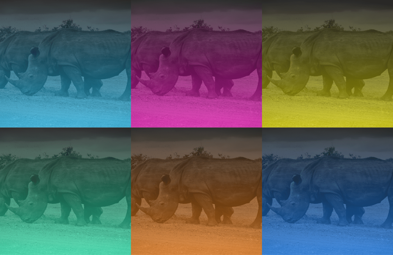 Gradient inspiration