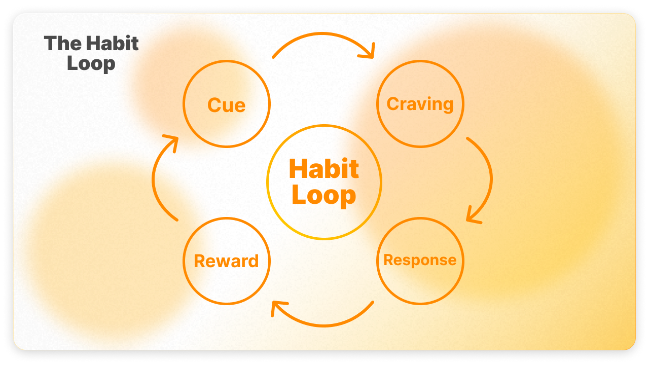 The Habit Loop