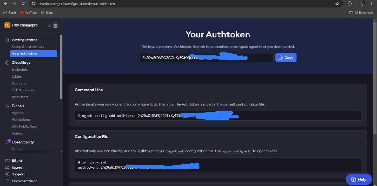 I Add Ngrok Authtoken