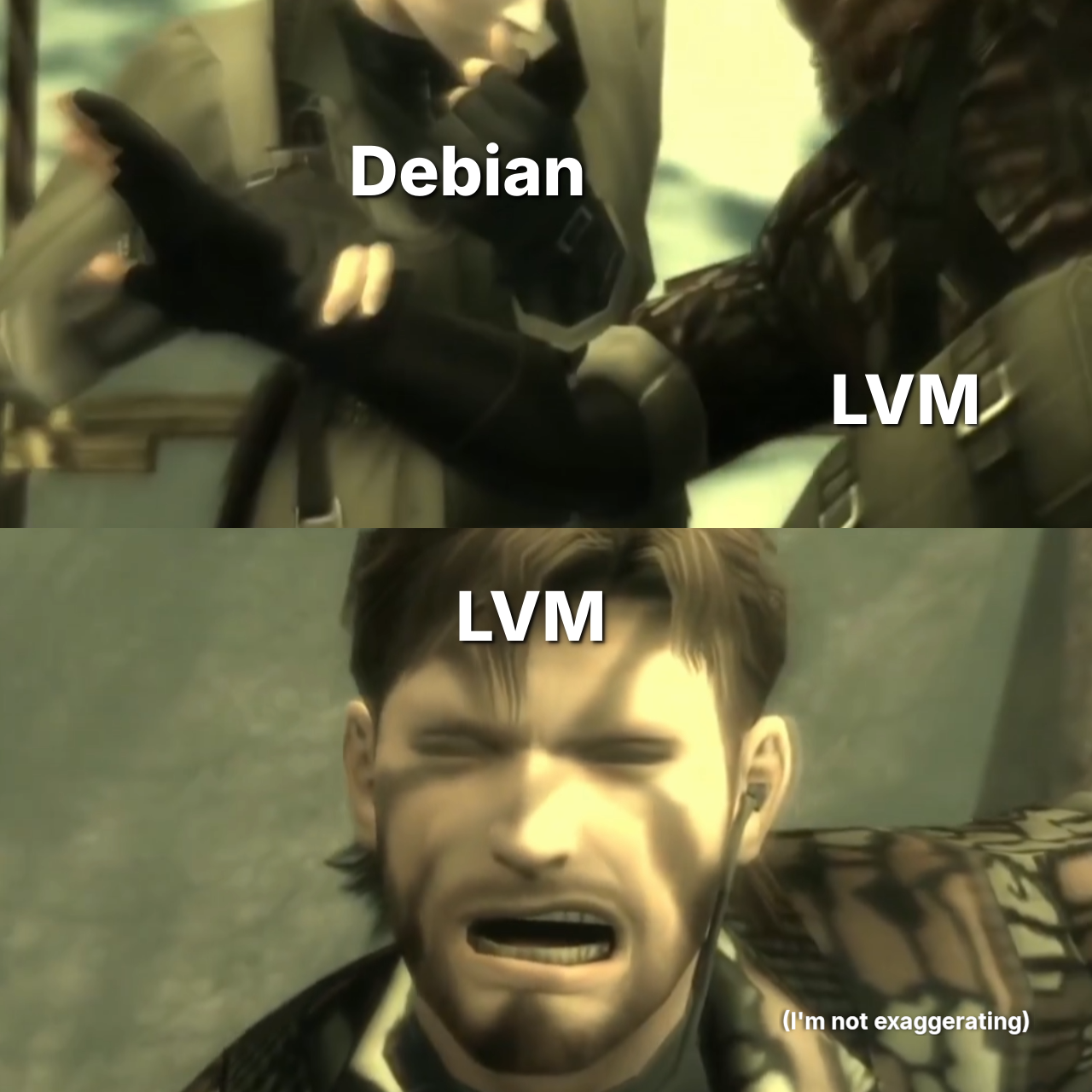 Comedic depiction of Debian and LVM as the Boss and Snake from the game Metal Gear Solid 3. Debian is injuring LVM.