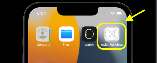Initial app name ios