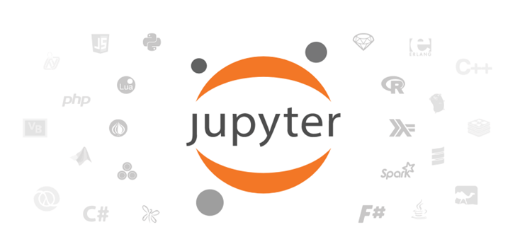 Jupyter Notebook Logo