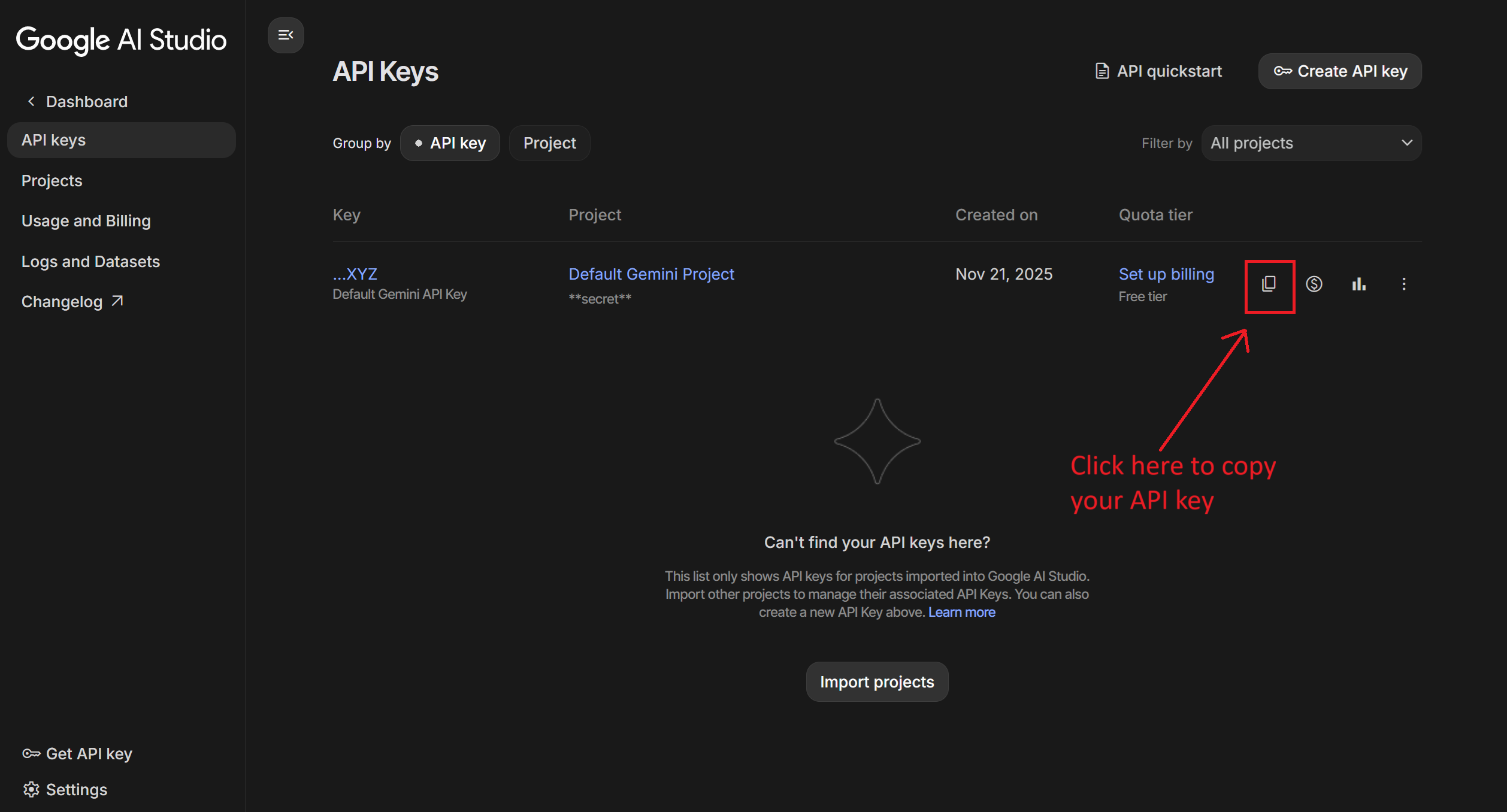 複製您的 API 金鑰