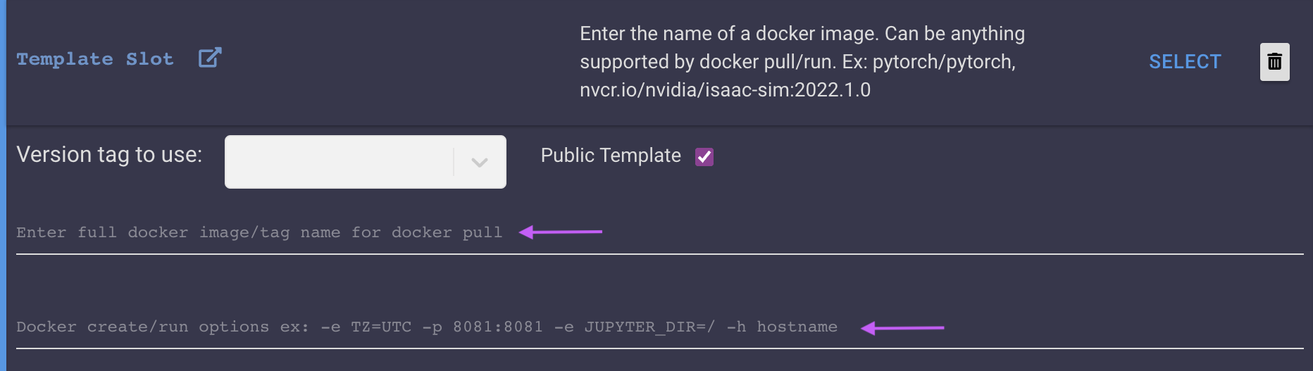Type the docker image tag name on the first text field. Type your docker create/run options on the second text field.