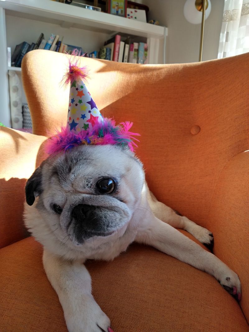 A photo of Gary celebrating his 14th birthday by wearing a festive little party hat
