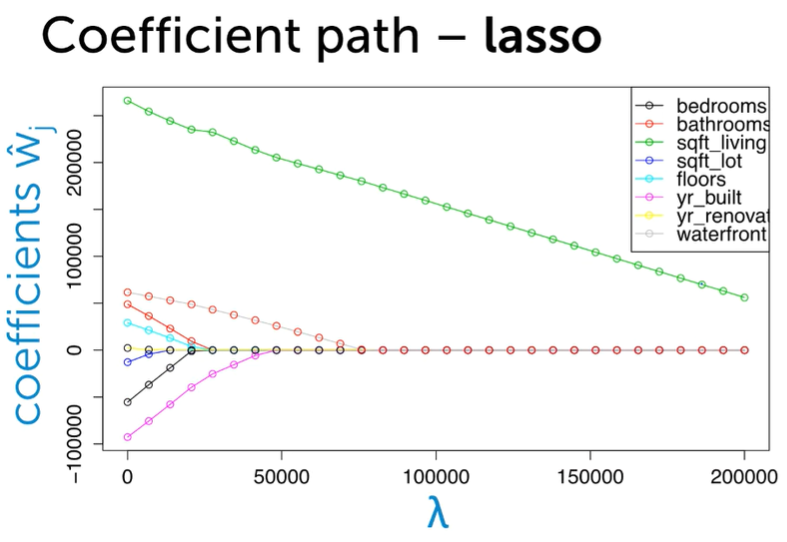Lasso coefficient path