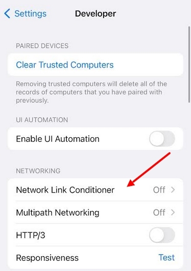 Developer section setting options