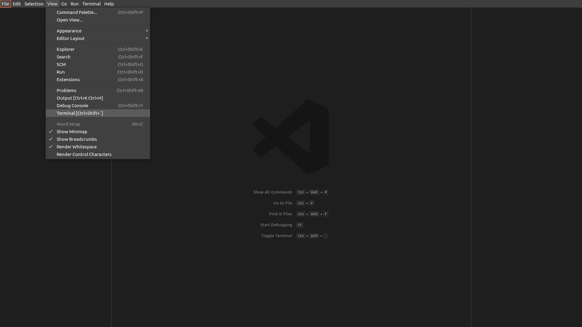 Habilitando o terminal