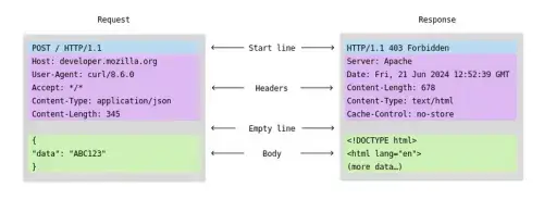 HTTP Request-Response