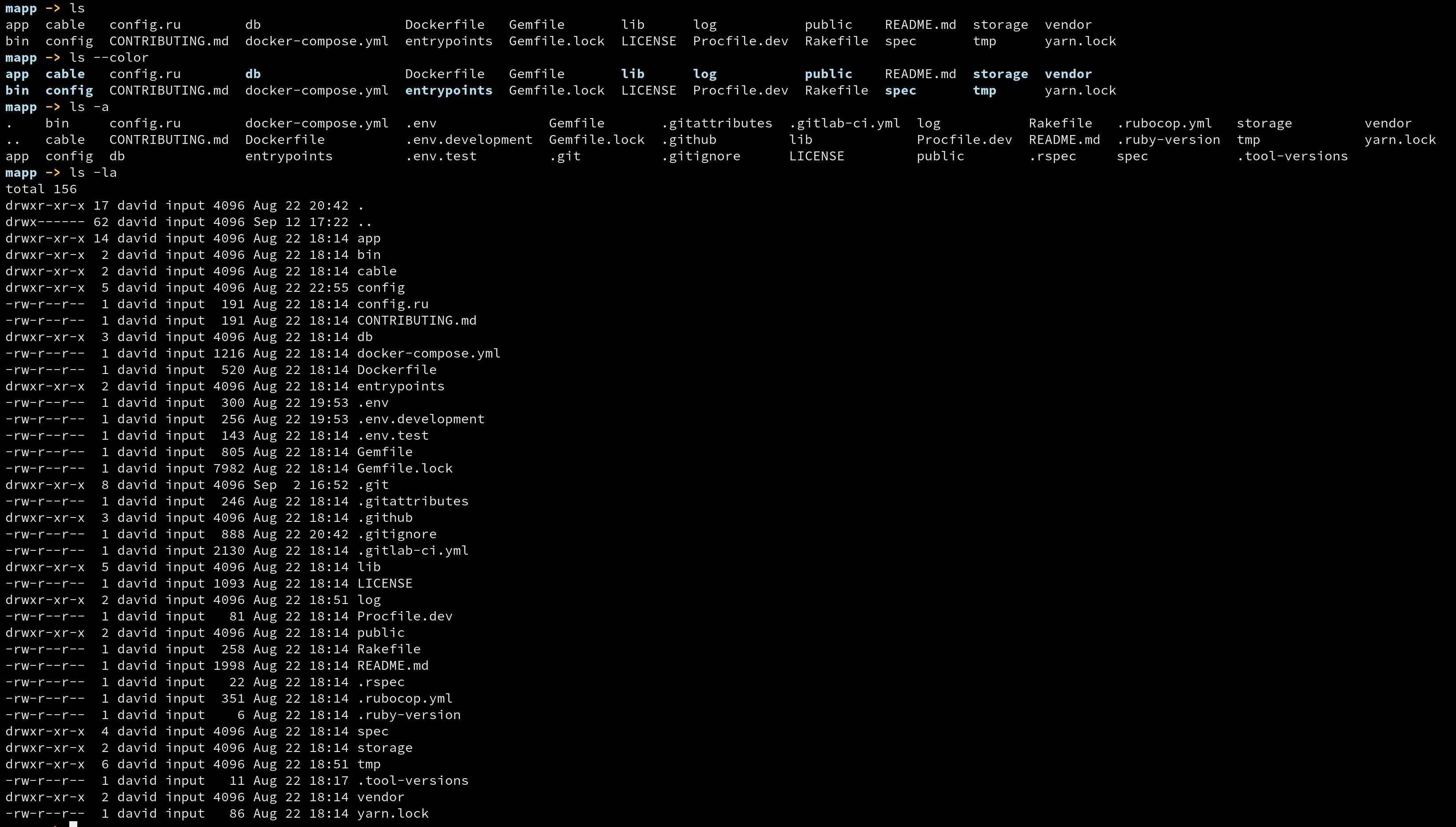 ls command