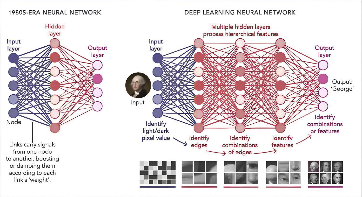 Neural Network expanded