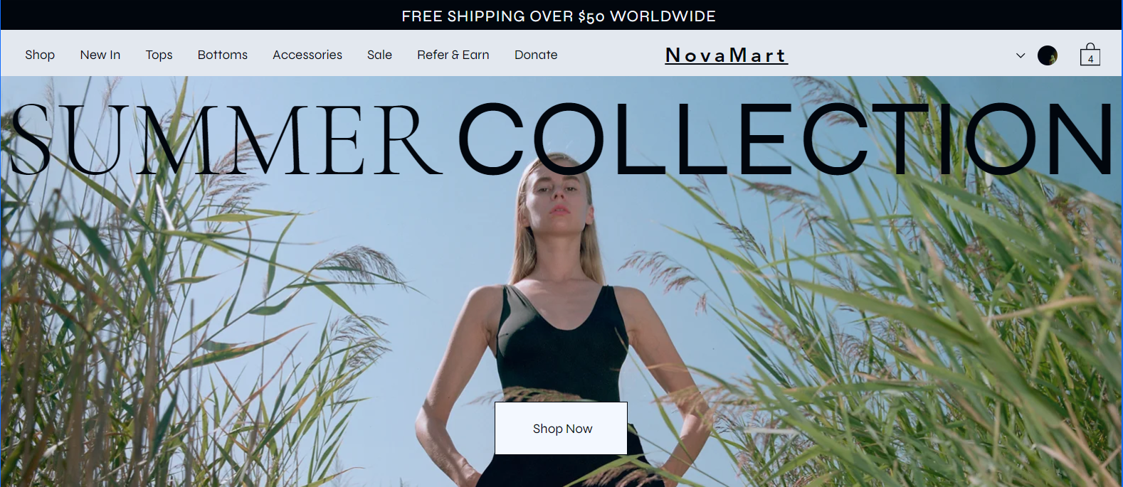 Home page