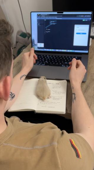 Scrimba Pets - Twizzle the hamster