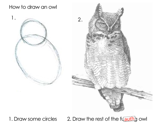 Drawing the auth owl