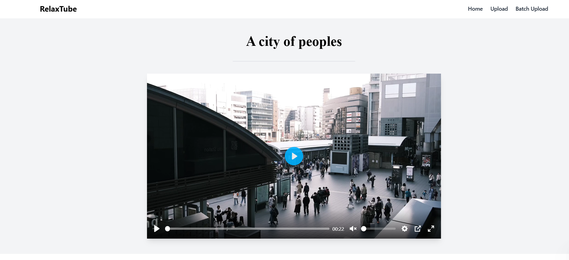 Video Playback