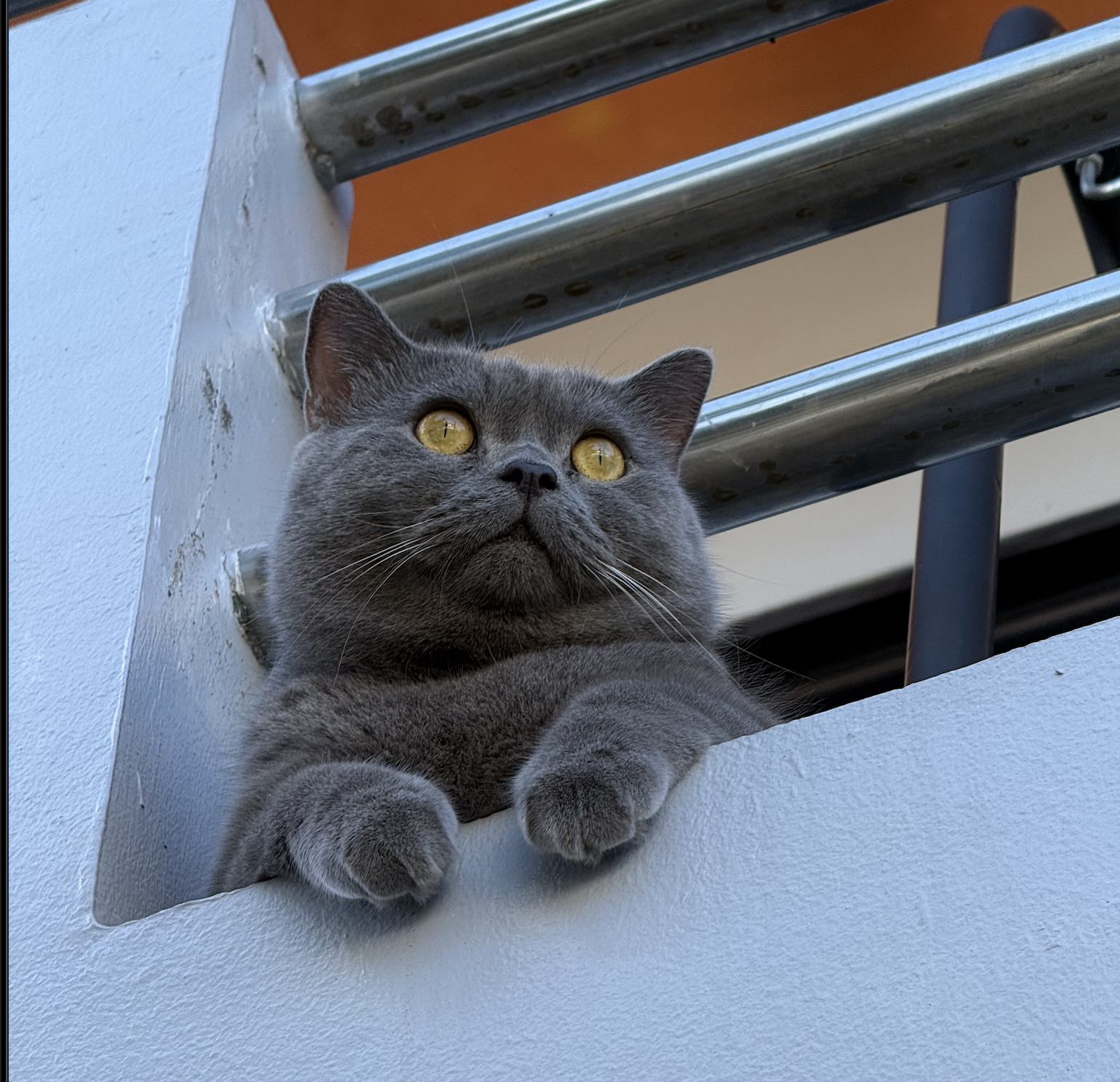 Hi Chidi!