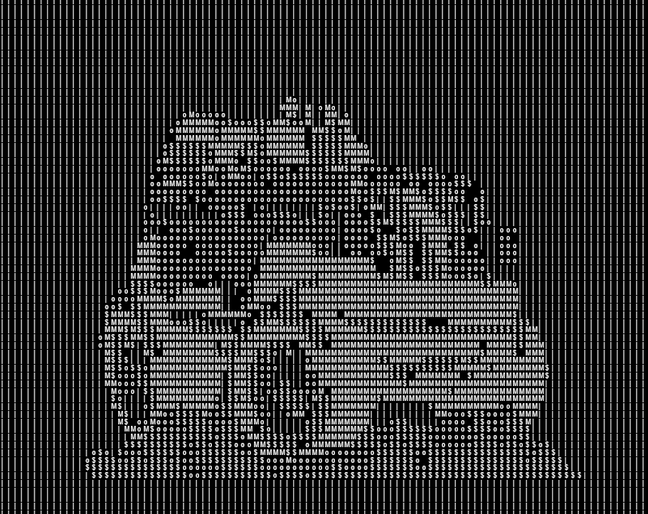 Image ASCII
