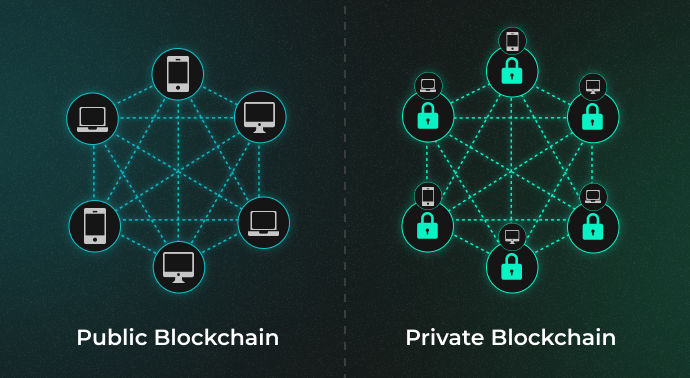 Public Blockchain vs Private Blockchain